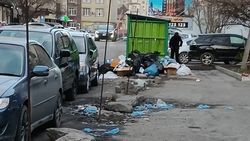 Мусорные баки на Сыдыкова забиты, мусор разлетается по округе. Фото
