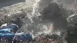 На ул.Логвиненко подожгли мусор возле детсада. Видео