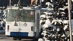 Горожанин жалуется на холод в троллейбусе №5. Фото