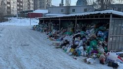 В 12 мкр пакеты с мусором из баков вываливаются на дорогу. Фото