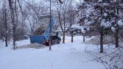 На территорию парка им.Ататюрка вываливают снег, собранный с территории чрезвычайной ситуации по ул.Малдыбаева, - мэрия