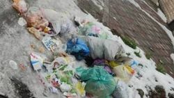 «Тазалык» вывезет мусор по адресу Щербакова-Сеченова