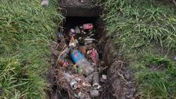 Арык по ул.Сеченова забит мусором и листвой. Фото, видео