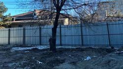 Мэрия Бишкека ответила на жалобу о вырубке деревьев в 7 мкр столицы