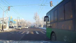 Автобус проехал на красный свет светофора. Ответ мэрии
