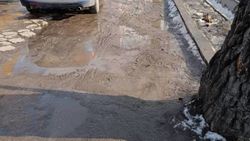 Горожанин жалуется на грязь по проспекту Жибек Жолу. Ответ мэрии