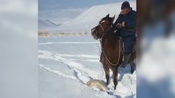 «Көк бөрү по-казармански». Чабаны Тогуз-Тороуского района устроили охоту на волков. Видео