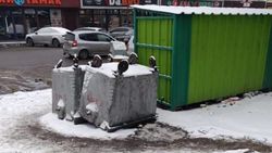 В мэрии рассказали, зачем на ул.Торокула Айтматова перевернули мусорные баки