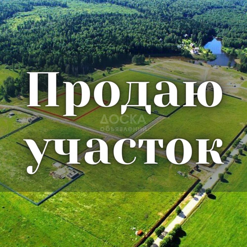 Продаю участок сельхоз назначения, 4 га с. Маловодное..