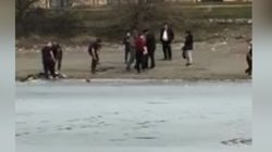 В парке «Ынтымак» двое детей провалились под лед, их спасли. Видео <i>(Дополнено)</i>
