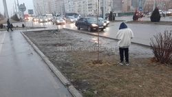 «Бишкекзеленхоз» рассмотрит вопрос уничтожения газона на Южной магистрали