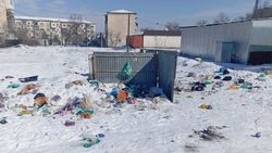 Житель Московского района жалуется мусор. Фото