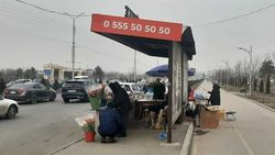 Продавцы цветов заняли половину остановки и часть тротуара на Южной магистрали. Фото