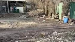 Горожанин жалуется на мусор в районе Турусбекова—Чуйкова. Видео