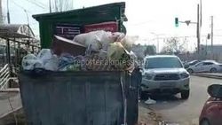 «Тазалык» пообещал вывезти мусор из переполненных баков в Джале