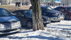 Возле пункта милиции №13 водители паркуются, уничтожая зеленую зону. Фото