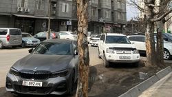 Срубленные деревья на Уметалиева были аварийными, - «Бишкекзеленстрой»