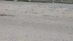 Территория конечной остановки в Асанбае завалена гравием. Видео