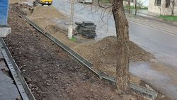 На ул.Токтогула вырубают деревья, чтобы установить арыки. Фото горожанина
