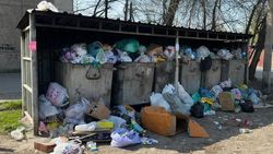 Забитые мусорные баки на ул.Ибраева. Фото