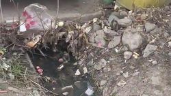 В Тунгуче павильон выливает пищевые отходы в арык. Видео горожанки