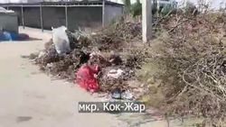 В Кок-Жаре возле мусорных контейнеров образовалась свалка. Видео