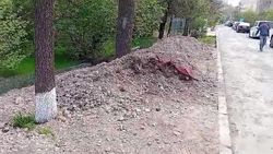 Зеленую зону в Свердловском районе засыпали щебнем и хотят сделать стоянку. Видео горожанина