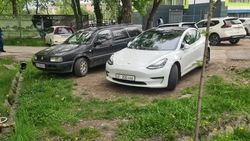 «Тесла» припаркована в зеленой зоне в Парке Дружбы Кыргызстана и Кореи. Фото