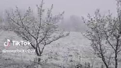 Зимняя сказка в Таласе в апреле. Видео