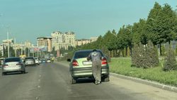 На Южной магистрали мужчина в одиночку толкает заглохшую машину