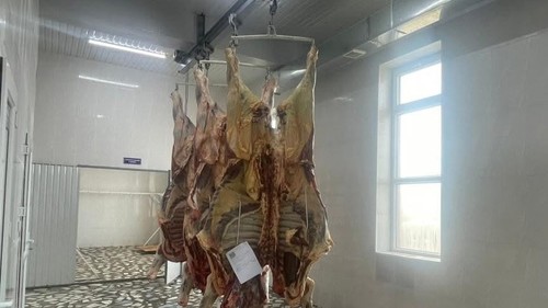 жанар акаев