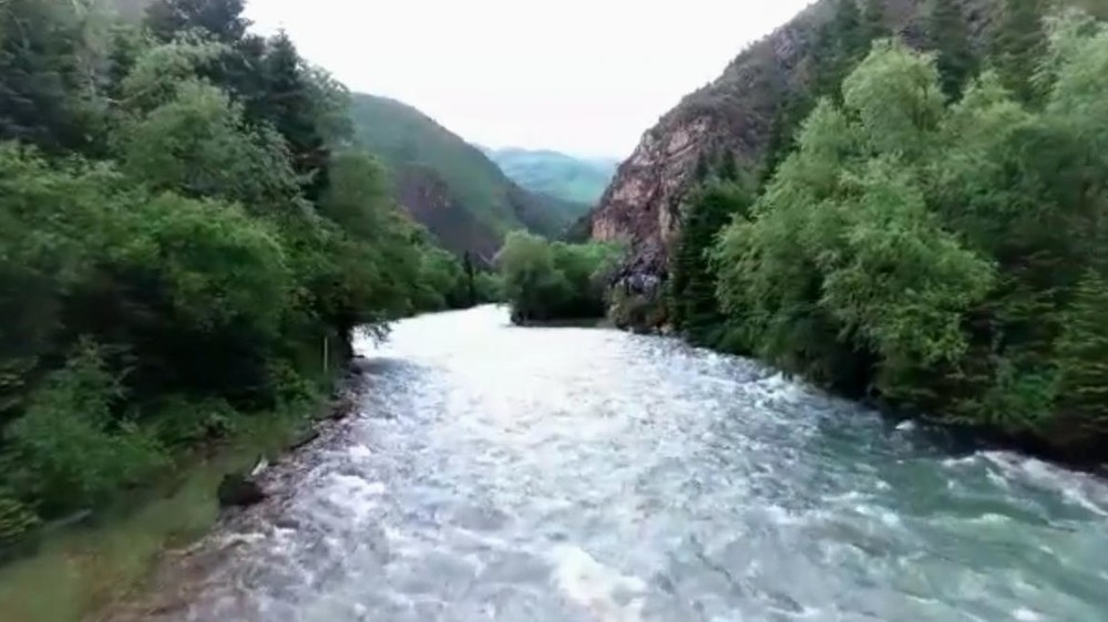 Река Чычкан