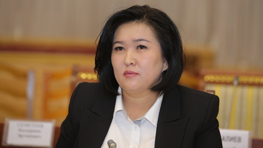 Ализа Солтонбекова, кандидат на должность министра труда и соцразвития