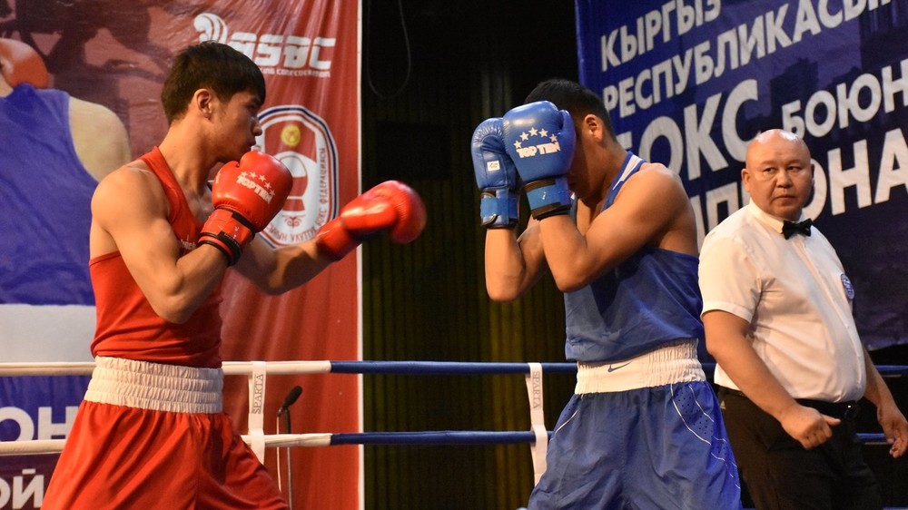 Чемпионат Кыргызстана по боксу
