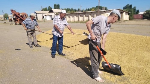 сельское хозяйство