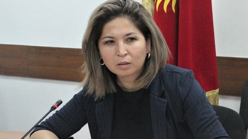 Заместитель министра экономики и коммерции Айнура Усенбекова