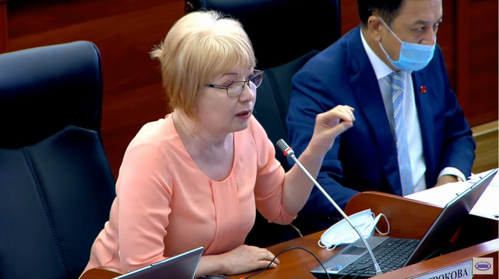 Депутат Евгения Строкова