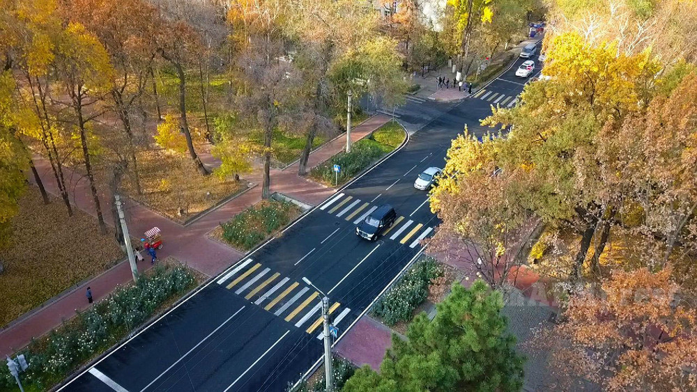 Иллюстративное фото
