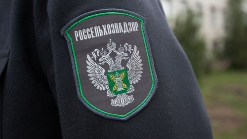 экспорт