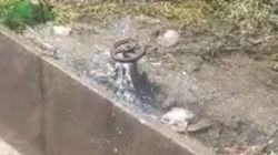 На Ошском рынке прорыв трубы, 3 дня течет питьевая вода. Видео