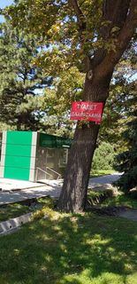 В Бишкеке на ул.Раззакова табличка прибита гвоздями к дереву (фото)