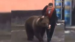 Из цирка в Оше сбежал медведь. Видео