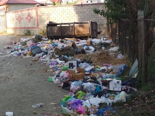 Когда уберут мусор в микрорайоне Анар в Оше? (фото)