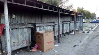 Горожанин просит помыть мусорные контейнеры на улице Патриса Лумумбы