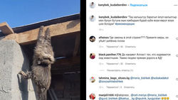 Парень опубликовал в Instagram видео кошки, прибитой гвоздями к доске
