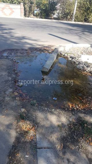 Горожанин: Уже 5 месяцев как городские службы не могут устранить проблему с водой на ул.Кольбаева