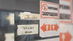 На территории парка «Ынтымак-2» платный туалет, это законно? - читатель