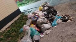 На Щербакова-Сеченова неделю не убирают мусор. Видео горожанина