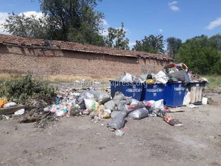 В городе Кара-Балта не забирают мусор