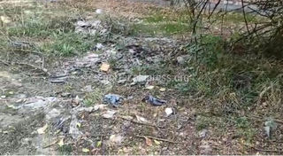 Горожанин жалуется на мусор по ул.Курманалиева возле кожзавода